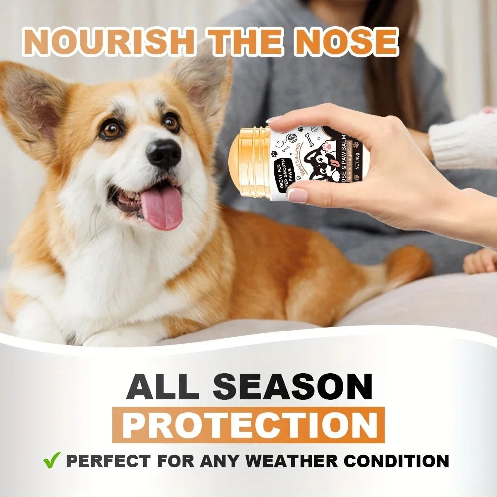 Pfotenpflege Balsam für Hunde – Schutz & Pflege