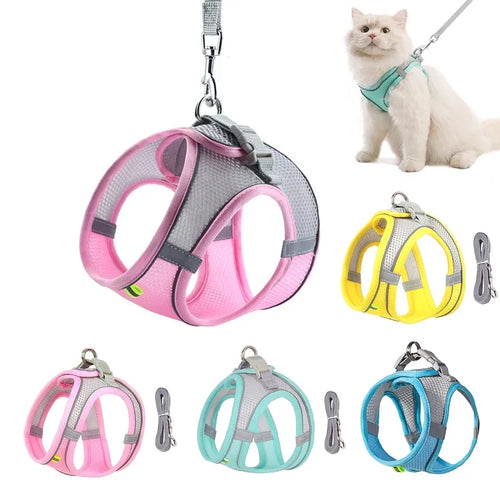 Hundegeschirr & Leinen Set – No-Pull für alle Hunderassen