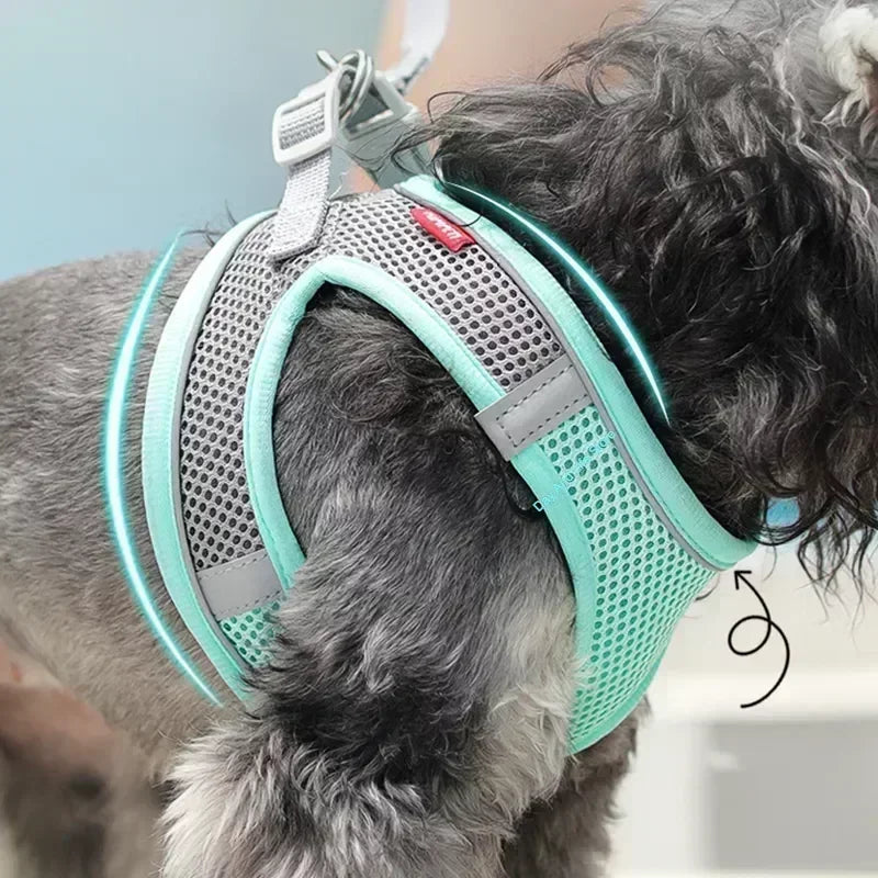 Hundegeschirr & Leinen Set – No-Pull für alle Hunderassen