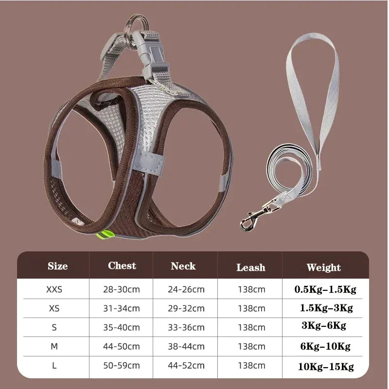 Hundegeschirr & Leinen Set – No-Pull für alle Hunderassen