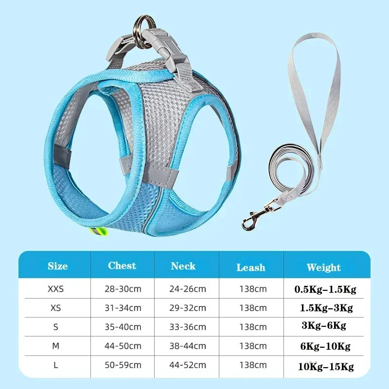 Hundegeschirr & Leinen Set – No-Pull für alle Hunderassen