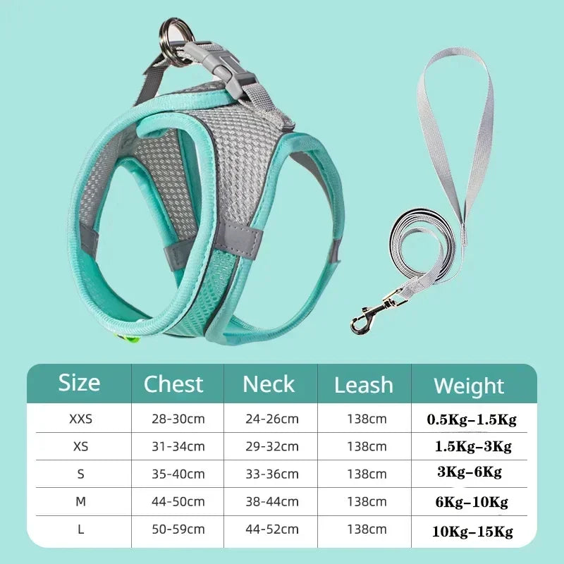 Hundegeschirr & Leinen Set – No-Pull für alle Hunderassen