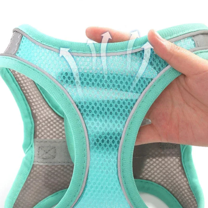 Hundegeschirr & Leinen Set – No-Pull für alle Hunderassen